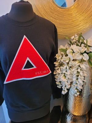 Delta Triangle Chenille Sweatshirt