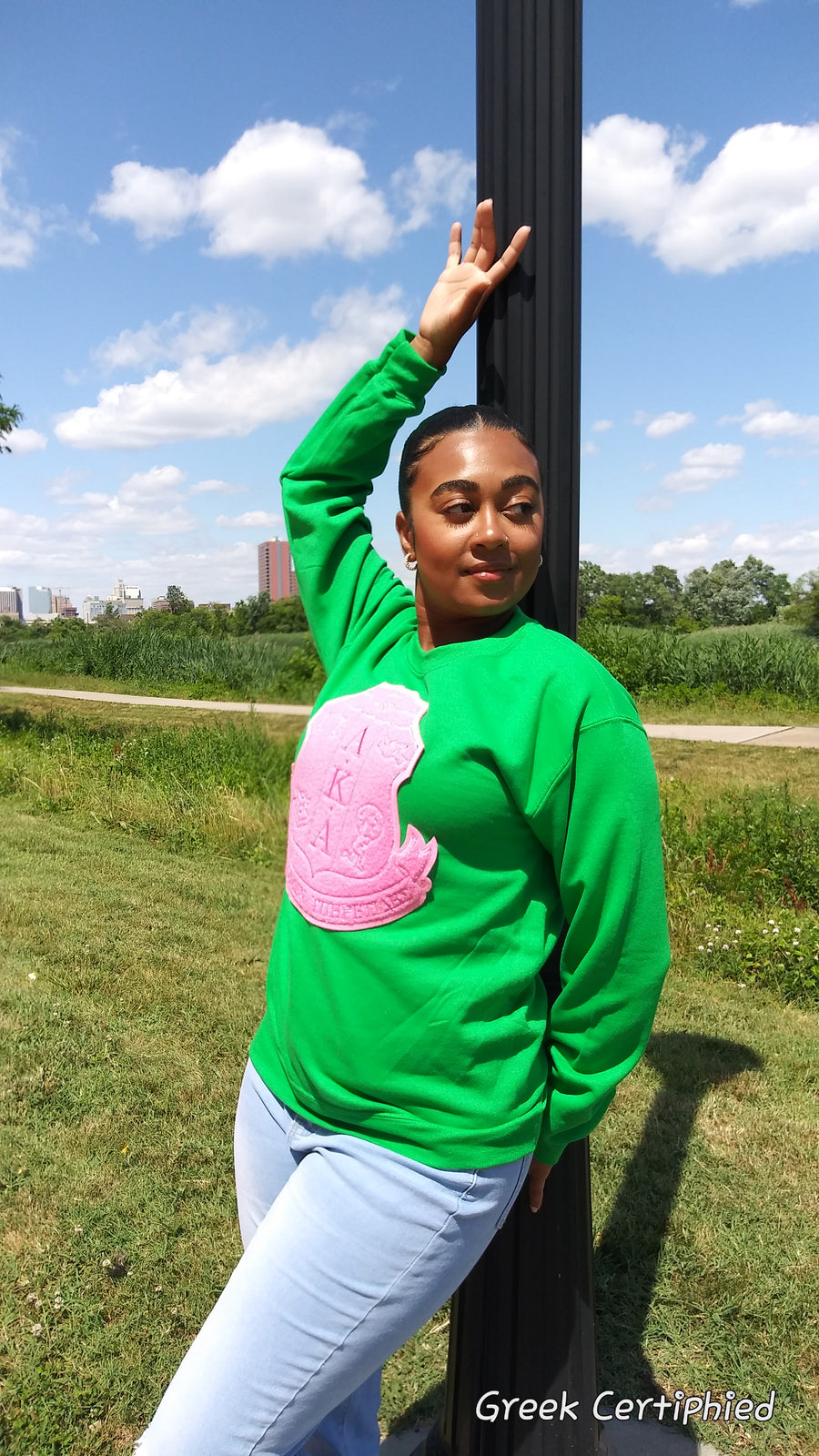 AKA Pink Chenille Sheild Sweatshirt